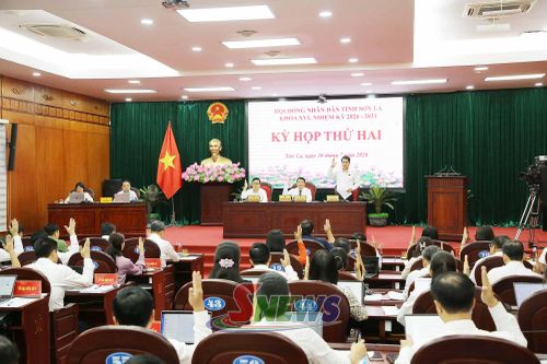 Các đại biểu biểu quyết thông qua tờ trình dự thảo nghị quyết.