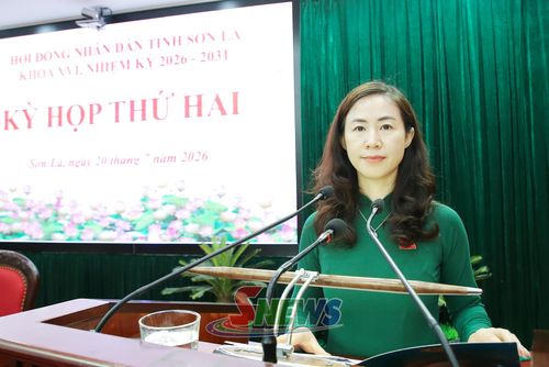 Lãnh đạo Ban Pháp chế HĐND tỉnh báo cáo kết quả thẩm tra các nội dung trình kỳ họp