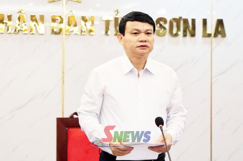 Đồng chí Đặng Ngọc Hậu, Phó Chủ tịch UBND tỉnh, phát biểu tại cuộc họp.