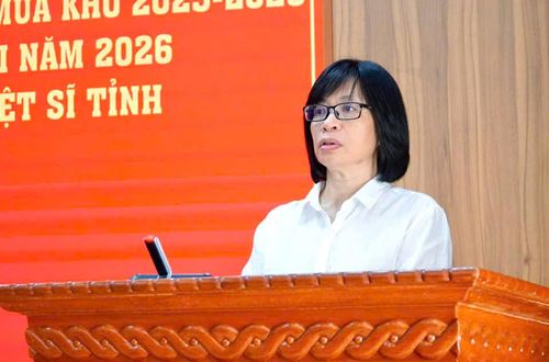 Phó chủ tịch UBND tỉnh, Trưởng Ban Chỉ đạo 515 tỉnh Gia Lai Nguyễn Thị Thanh Lịch phát biểu chỉ đạo hội nghị.