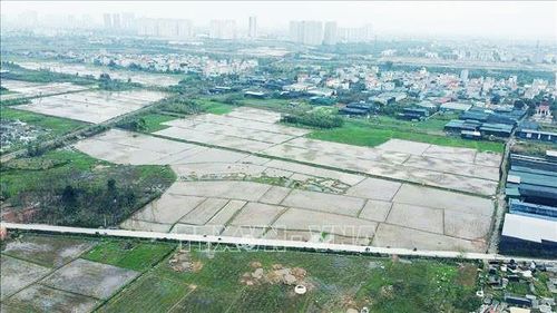 Sự phối hợp và các kiến nghị của KTNN góp phần phòng ngừa thất thoát nguồn lực đất đai, thúc đẩy minh bạch hóa dữ liệu giá đất. Ảnh: Huy Hùng