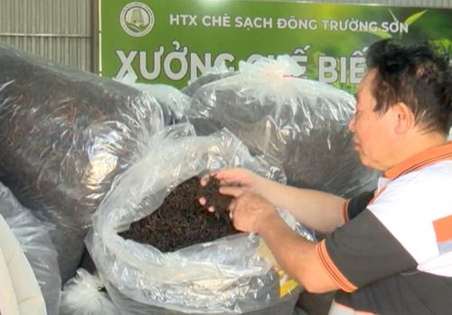 Sở hữu trí tuệ cùng truy xuất nguồn gốc đang trở thành nền tảng giúp HTX nâng sức cạnh tranh và đưa chè Kon Plông hướng đến những thị trường tiêu chuẩn cao.