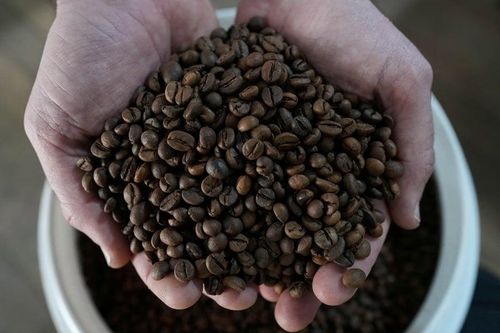 Giá cà phê thế giới sáng nay ổn định. (Ảnh: Reuters)