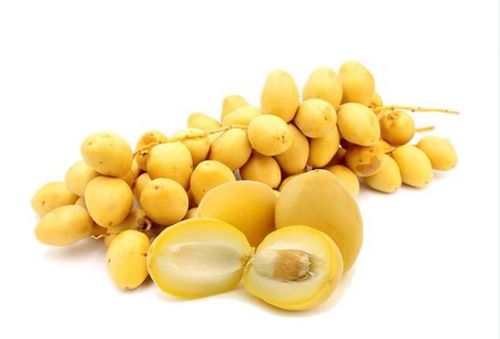 Quả chà là tươi có vị ngọt, tính bình, có nhiều lợi ích cho sức khỏe.