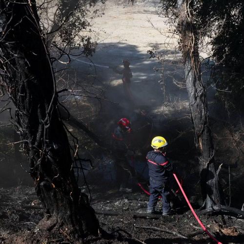 Ngọn lửa đã thiêu rụi khoảng 60 hecta ở Taradeau trước khi lan sang thị trấn Les Arcs-sur-Argens gần đó, thiêu hủy hêm 120 hecta nữa trong vòng chưa đầy hai giờ.