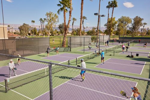  HLV pickleball tại Mỹ có thể kiếm tới 200.000 USD mỗi năm. Ảnh minh họa: Maggie Shannon/New York Times. 