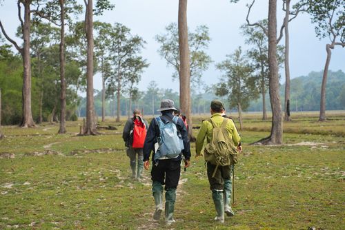  Tour khám phá đưa du khách hiking xuyên rừng, trải nghiệm thực địa tại VQG Cát Tiên. Ảnh: Oxalis. 