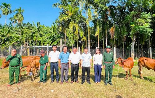 Đại diện Ủy ban MTTQ Việt Nam xã Đại Lộc và Hội đồng hương xã Đại Lộc tại TP Hồ Chí Minh trao tặng bò cho các hộ dân có hoàn cảnh khó khăn.