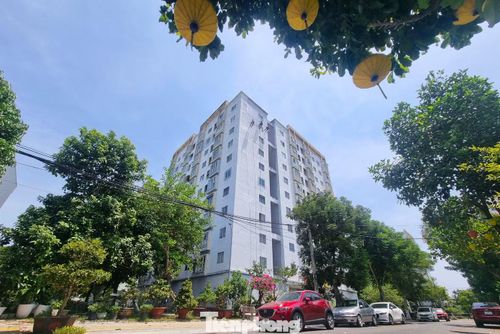 Những người thợ sơn treo mình hàng tiếng đồng hồ ngoài trời để "thay áo mới" cho các tòa nhà.