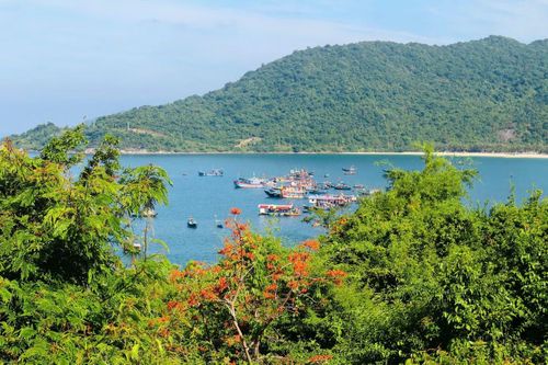 Cách phố cổ Hội An khoảng 18 km, Cù Lao Chàm được UNESCO công nhận là Khu dự trữ sinh quyển thế giới nhờ hệ sinh thái đa dạng với hơn 950 loài thủy sinh.
