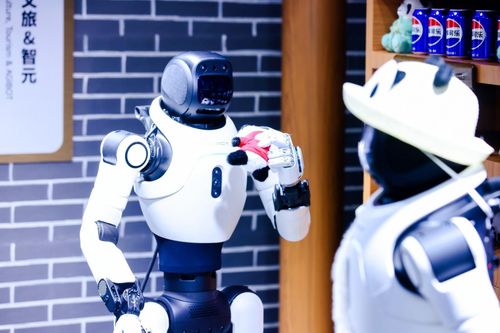 Agibot X2 Edu. Ảnh: Agibot