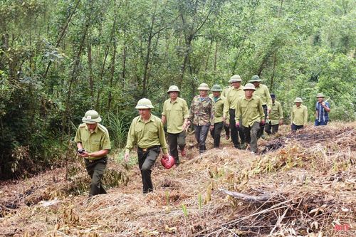 Cán bộ Ban Quản lý rừng phòng hộ Nam Hà Tĩnh phối hợp lực lượng chức năng tuần tra khu vực giáp ranh, ngăn chặn phát dọn thực bì, lấn chiếm đất lâm nghiệp trái phép.