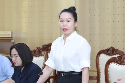Đồng chí Đào Thị Anh Nga - Trưởng ban Văn hóa - Xã hội HĐND tỉnh phát biểu tại phiên họp.