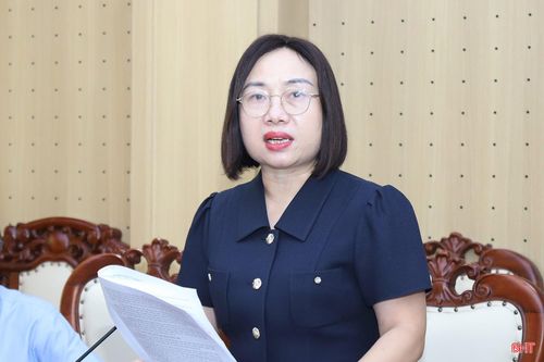 Đồng chí Nguyễn Thị Thúy Nga - Trưởng ban Kinh tế - Ngân sách HĐND tỉnh phát biểu tại phiên họp.