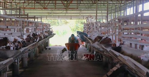 Đa dạng sản phẩm, nâng cao sức cạnh tranh cho du lịch Cần Thơ.