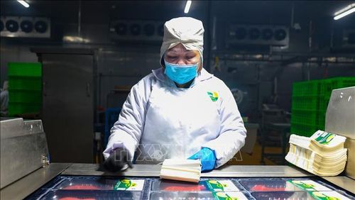 Công nhân thực hiện đóng gói thịt bò tại cơ sở chế biến thực phẩm đạt tiêu chuẩn vệ sinh an toàn thực phẩm trên địa bàn tỉnh Tây Ninh.