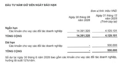 Nguồn: Thuyết minh BCTC.