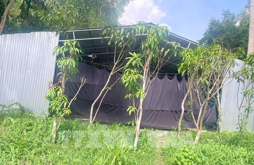 Một trong những căn nhà tiền chế được dựng lên trên phần đất dự kiến giải phóng mặt bằng khi thực hiện dự án tuyến đường kết nối cao tốc Châu Đốc - Cần Thơ - Sóc Trăng với Cửa khẩu quốc tế Tịnh Biên, tỉnh An Giang. Ảnh: Công Mạo - TTXVN 