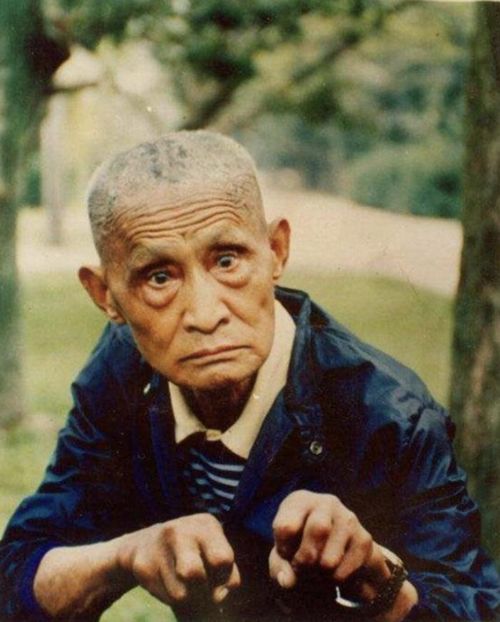 Sau thành công tại kỳ khảo hạch võ thuật toàn quốc, Vạn Lại Thanh dành nhiều năm giảng dạy và nghiên cứu võ học.