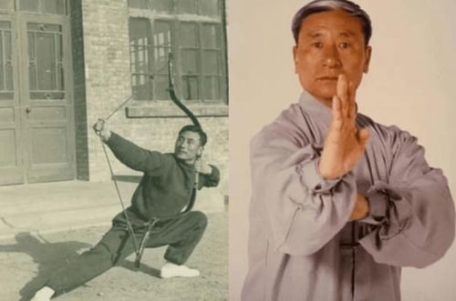 Thái Long Vân nổi tiếng từ khi còn trẻ với những trận giao lưu võ thuật và sau này trở thành nhà giáo dục võ thuật có nhiều đóng góp.