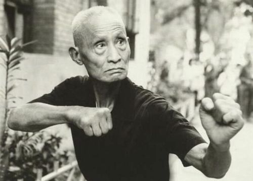 Vạn Lại Thanh là học trò xuất sắc của Đỗ Tâm Ngũ, được đánh giá cao nhờ tốc độ, bộ pháp linh hoạt và nền tảng Tự Nhiên Môn.