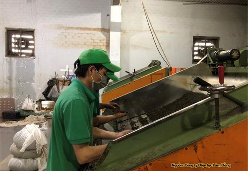 Công nhân kiểm tra chất lượng nguyên liệu trên dây chuyền chế biến chè tại Hợp tác xã Nông lâm nghiệp B'Lá.