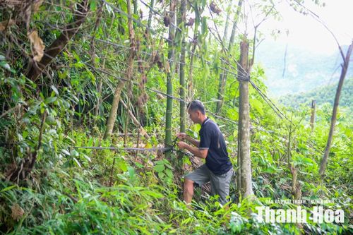 Sau nhiều năm sử dụng, một số vị trí đã chùng võng, vắt qua bụi cây, có nơi chỉ cách mặt đất một khoảng ngắn.