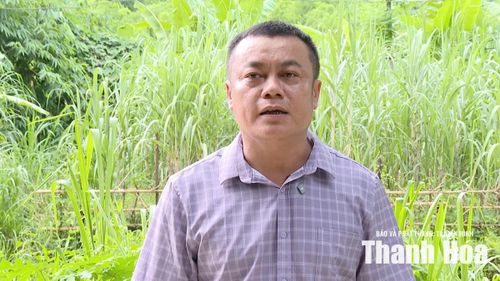 Ông Phạm Bá Lập, Chủ tịch Ủy ban MTTQ xã Mường Mìn cho biết, nội dung này đã được phản ánh tại nhiều cuộc tiếp xúc cử tri, cả trước và sau khi sắp xếp đơn vị hành chính. Chính quyền địa phương và MTTQ đã tổng hợp, kiến nghị đến các cơ quan có thẩm quyền, đồng thời làm việc với ngành điện, tuy nhiên đến nay tuyến điện nhánh vào bản vẫn chưa được đầu tư. Địa phương mong muốn cấp trên và ngành điện sớm bố trí nguồn lực để xây dựng hệ thống điện bảo đảm an toàn cho người dân.