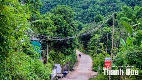 Đây cũng là tuyến đường người dân thường xuyên đi lại, mỗi khi gió mạnh, nỗi lo về nguy cơ mất an toàn từ đường điện lại hiện hữu.