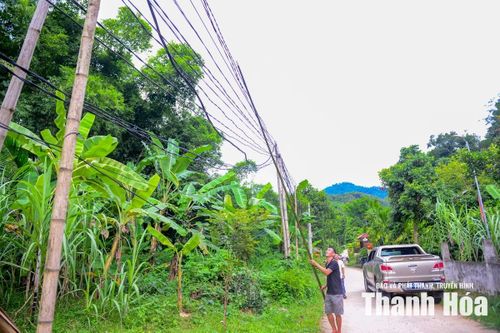 Từ ngã ba Quốc lộ 217 vào bản Chiềng, tuyến đường điện dài hơn 600 m được người dân kéo để phục vụ sinh hoạt và sản xuất. Do chưa được đầu tư hệ thống cột điện, nhiều đoạn dây chỉ được chống bằng luồng hoặc buộc vào cây ven đường.