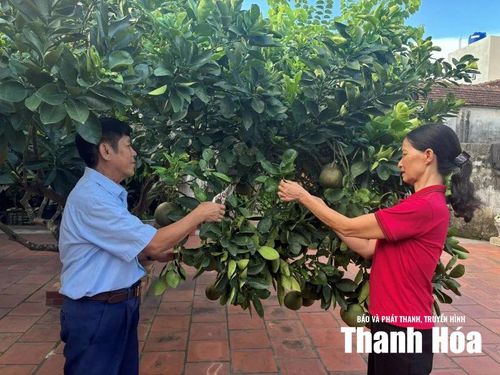 Hiện ông Bút sống bình yên bên gia đình nhỏ của mình.