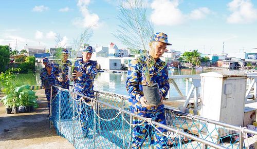 Vận chuyển cây lên tàu.