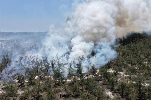  Ngọn lửa bùng phát và lan nhanh, đe dọa trực tiếp đến khu vực sản xuất và đời sống của người dân lân cận. Ảnh: Dũng Nhân 