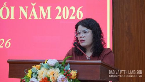 Lãnh đạo Trung tâm Phát triển quỹ đất tỉnh phát biểu tại hội nghị