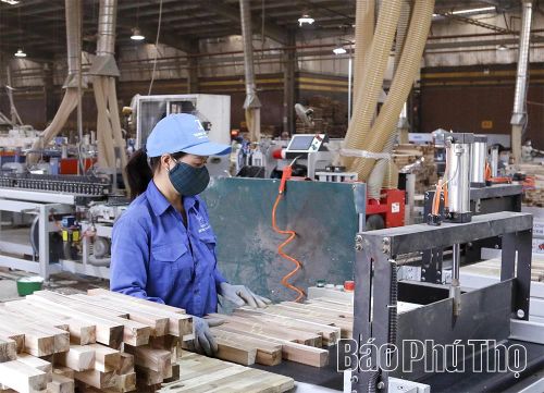 Sản xuất các sản phẩm xuất khẩu từ gỗ tại Công ty Cổ phần Gemmy Tân Sơn.