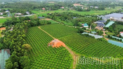 Vị trí móng cột đã được thi công xong, sẵn sàng chờ lắp đặt hệ thống cột điện.