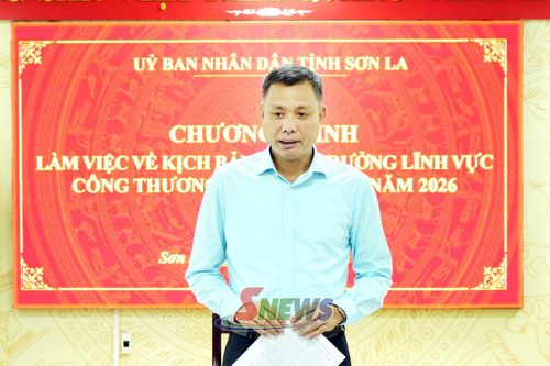 Đồng chí Nguyễn Thành Công, Phó Chủ tịch UBND tỉnh, kết luận cuộc làm việc.