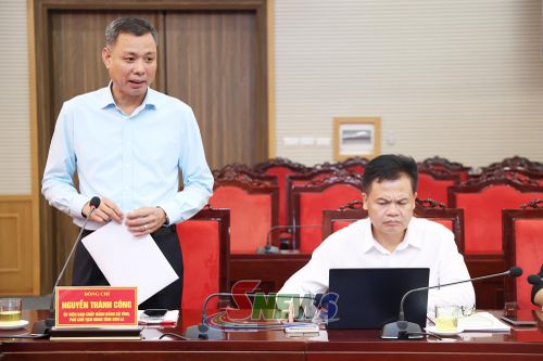 Đồng chí Phó Chủ tịch UBND tỉnh phát biểu tại cuộc họp.