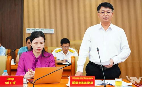 Đồng chí Nông Quang Nhất, Phó Chủ tịch UBND tỉnh phát biểu tại buổi làm việc.