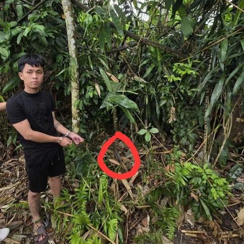 Đối tượng Hoàng Minh Sơn chỉ nơi cất giấu hung khí gây án.