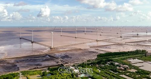 Tỉnh Cà Mau có 14 nhà máy điện gió đi vào vận hành với tổng công suất khoảng 694 MW, sản lượng điện phát lên lưới quốc gia khoảng 1,8 tỷ kWh mỗi năm.