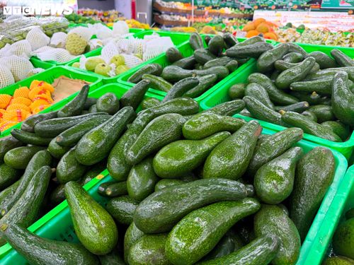 Bơ 034 được bán với giá 20.000 đồng/kg, mức giá được xem là khá rẻ so với mọi năm.