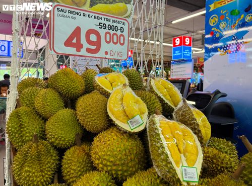 Sầu riêng Ri6 được bán với giá chỉ từ 49.000 đồng/kg thấp hơn đáng kể so với mọi năm.