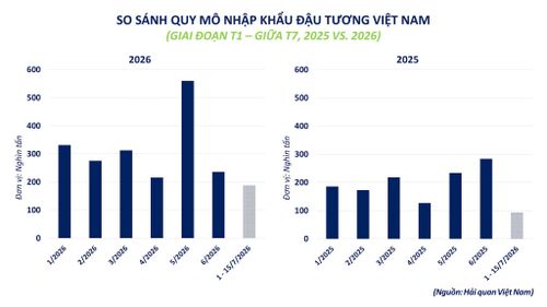 So sánh quy mô nhập khẩu đậu tương Việt Nam. Nguồn: MXV