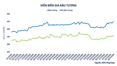 Diễn biến giá đậu tương đến ngày 20-7. Nguồn: MXV