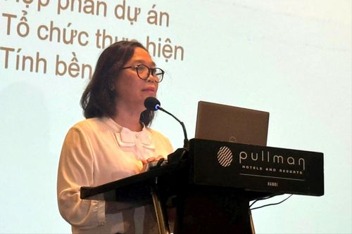 Phó Chủ tịch Hội Bảo vệ quyền trẻ em Việt Nam Vũ Thị Kim Hoa, Phó Giám đốc Ban Quản lý dự án giới thiệu tổng quan về dự án. Ảnh: Mai Hoa