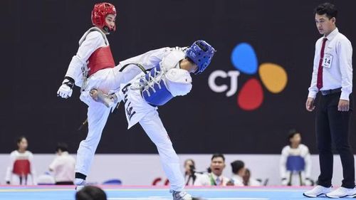 Đây là giải Taekwondo cấp quốc gia đầu tiên tại Việt Nam đạt chất lượng để có doanh nghiệp nước ngoài là Nhà tài trợ Danh xưng.