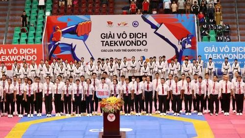 Chính thức thi đấu từ ngày 23/7, giải thu hút khoảng 1.000 vận động viên, 300 chuyên gia từ 34 tỉnh thành trên toàn quốc về tham dự.