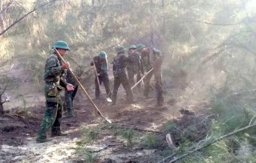 Các cán bộ, chiến sĩ làm đường băng cản lửa, ngăn đám cháy lan rộng.