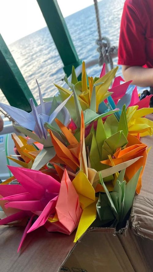 Hàng trăm con hạc giấy, những bông cúc vàng và những chiếc đèn hoa đăng được từng thành viên đoàn công tác nhẹ nhàng thả trôi theo sóng nước.